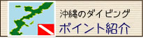 沖縄ダイビング・ポイント紹介
