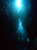 cǊԂ̒mu14