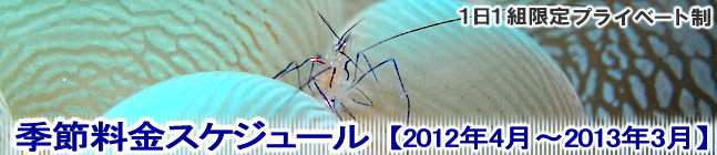 _CrOXN[̓