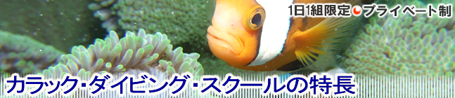 ダイビングスクールの特長