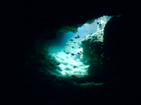 cǊԃJrgl-4