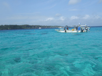 _CrOE|CgRc-1